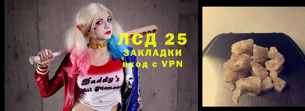 apvp Инта