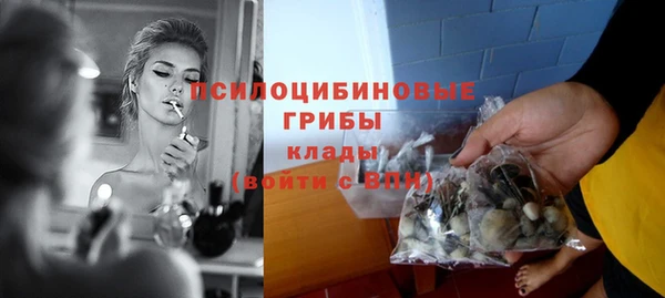 бошки Иннополис