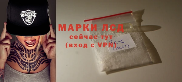 apvp Инта
