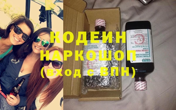 apvp Инта