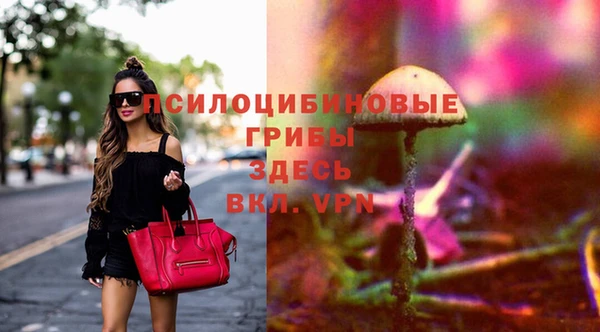 герыч Инсар