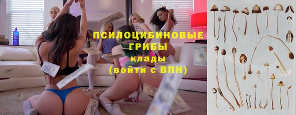 apvp Инта