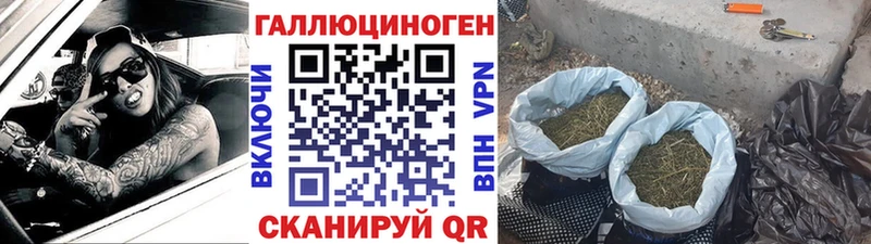 Галлюциногенные грибы мухоморы  цена наркотик  Щёлково 
